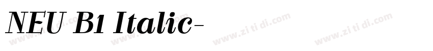 NEU B1 Italic字体转换 NEU B1 Italic字体转换